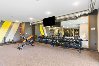 A gym with a mirror, weights, and cardio equipment.